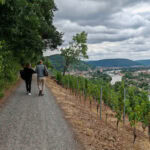 Wandern auf dem Fränkischen Rotwein-Wanderweg in Churfranken 11 Fraenkischer Rotweinwanderweg 19