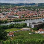 Wandern auf dem Fränkischen Rotwein-Wanderweg in Churfranken 10 Fraenkischer Rotweinwanderweg 22