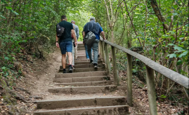 Wandern auf dem Fränkischen Rotwein-Wanderweg in Churfranken 3 Fränkischer Rotweinwanderweg