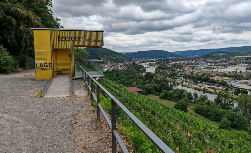 Wandern auf dem Fränkischen Rotwein-Wanderweg in Churfranken 28 Fränkischer Rotweinwanderweg, Weinterrasse