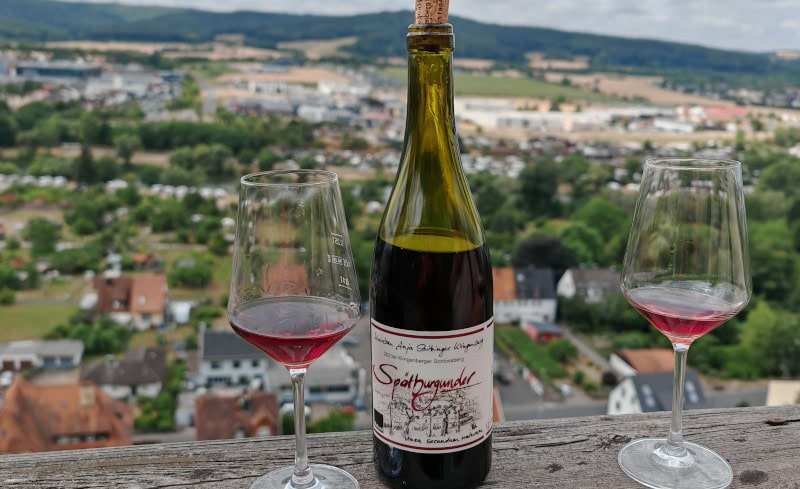 Wandern auf dem Fränkischen Rotwein-Wanderweg in Churfranken 37 Fränkischer Rotweinwanderweg, Weinverkostung Bioweinbau Strizinger Klingenberg