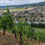 Wandern auf dem Fränkischen Rotwein-Wanderweg in Churfranken 6 Fraenkischer Rotweinwanderweg 9