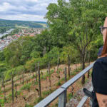 Wandern auf dem Fränkischen Rotwein-Wanderweg in Churfranken 30 Fraenkischer Rotweinwanderweg mit Verena Waigand 61