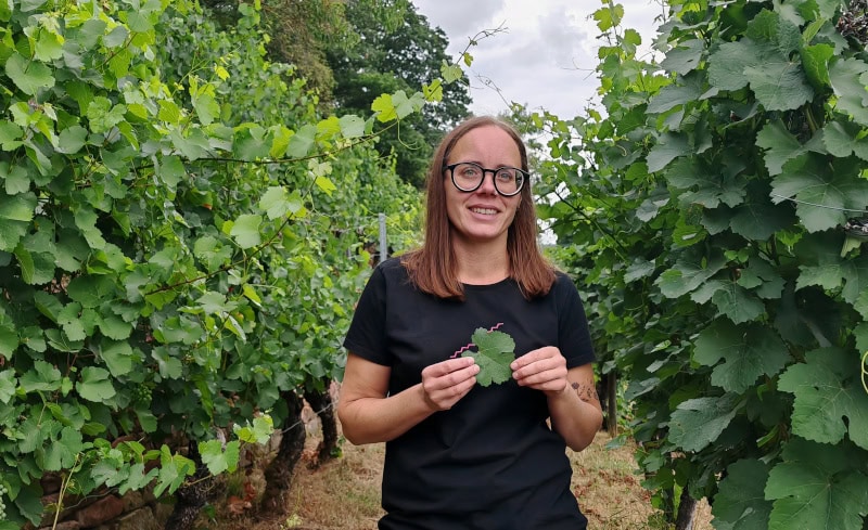 Wandern auf dem Fränkischen Rotwein-Wanderweg in Churfranken 20 Fränkischer Rotweinwanderweg mit Verena Waigand