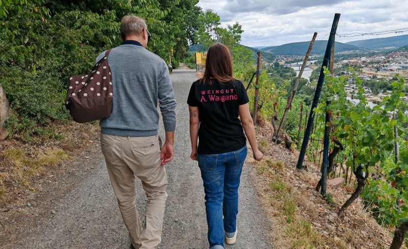 Wandern auf dem Fränkischen Rotwein-Wanderweg in Churfranken 12 Fränkischer Rotweinwanderweg